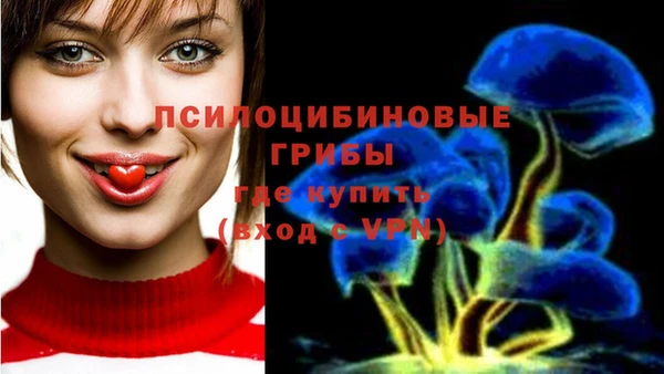 бошки Новозыбков