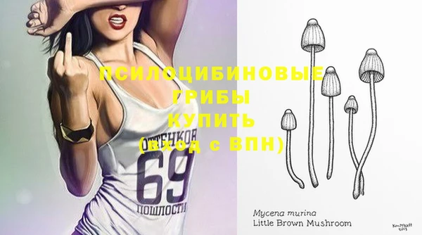 скорость Новодвинск