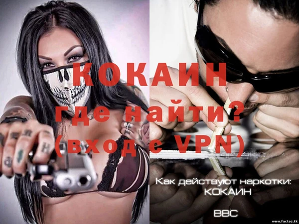 бошки Новозыбков