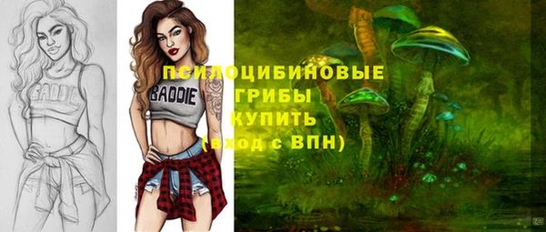 бошки Новозыбков