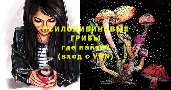 скорость Новодвинск