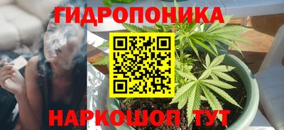 гашик Донской