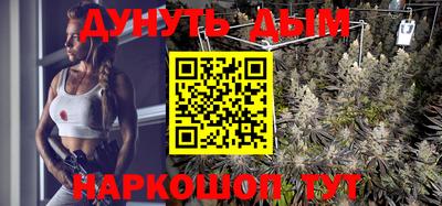 скорость Дубна