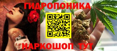 скорость Дубна
