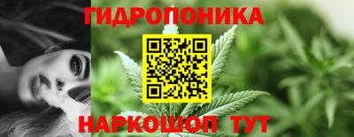 гашик Донской