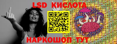 гашик Донской