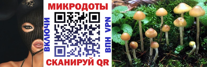 Псилоцибиновые грибы Psilocybine cubensis  Мегион 