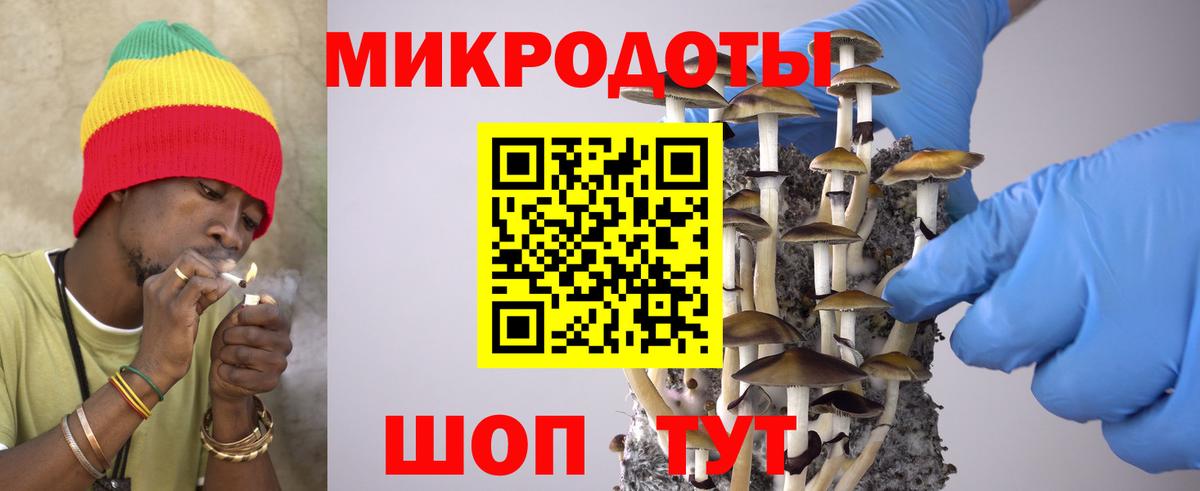 Мегион  Галлюциногенные грибы Psilocybine cubensis  Вход с VPN 