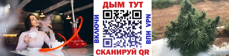 где найти наркотики mega ТОР Канабис THC 21% Мегион